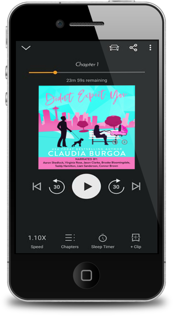 DIDN'T EXPECT YOU AUDIO (Against All Odds: The Brassard Family #2)