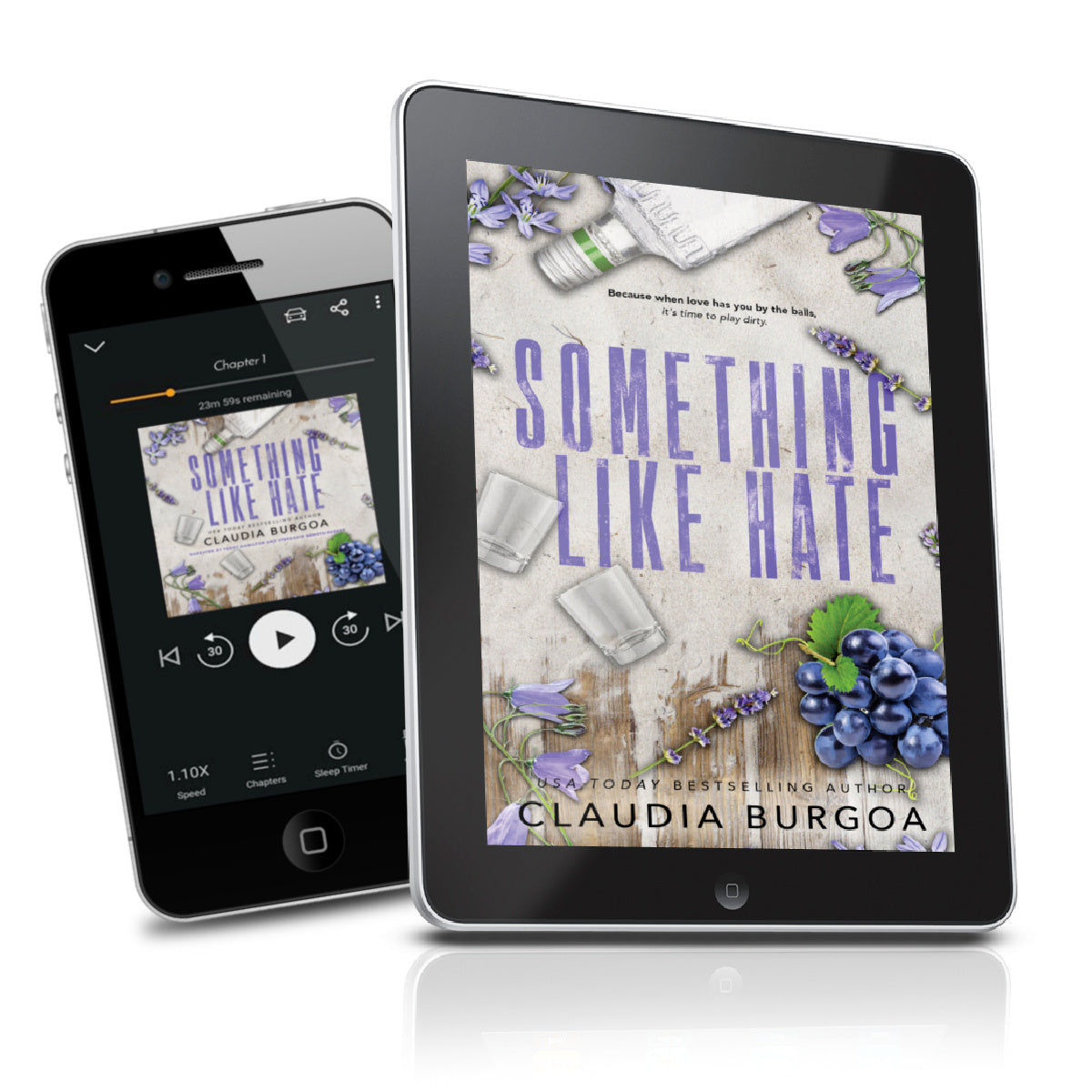 SOMETHING LIKE HATE EBOOK + AUDIOBOOK BUNDLE